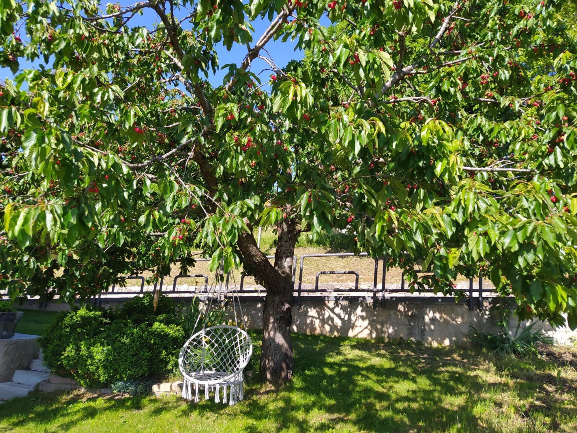 Casa Zucol Leilighet Sarnonico Eksteriør bilde