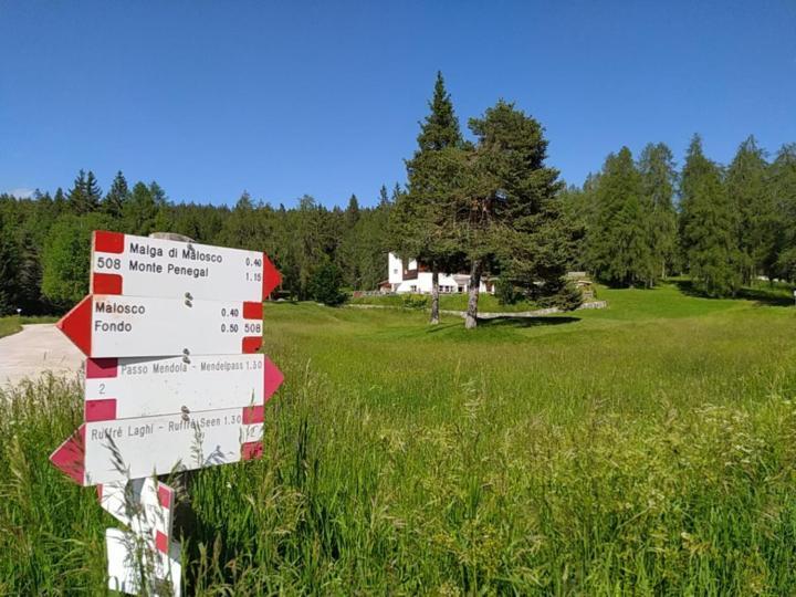Casa Zucol Leilighet Sarnonico Eksteriør bilde